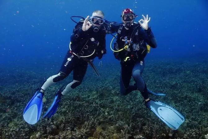 熊出没夺宝历险